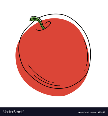 red apple stylized fruits