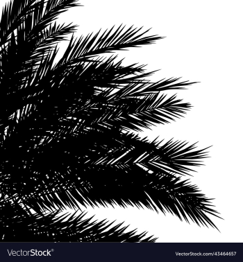 palm tops silhouettes
