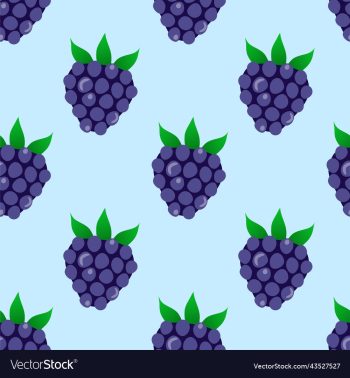 blackberry pattern