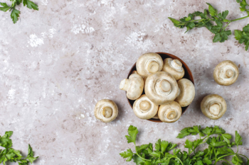 Fresh organic white mushrooms champignon,top view Free Photo
