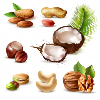 Nuts realistic set Free Vector