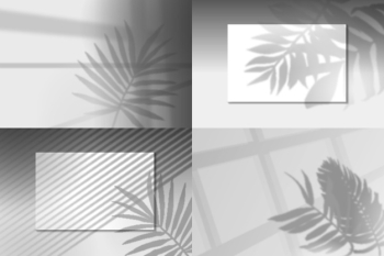 Overlay transparent effect with shadows of leaves Free Vector