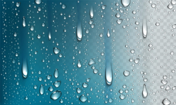 Water droplets isolated on transparent background Free Vector