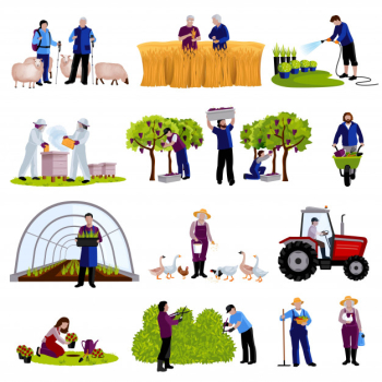 Farmers and gardeners work moments harvesting  fruits raising cattle and trimming plants flat icons Free Vector