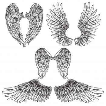 Wings sketch set Free Vector