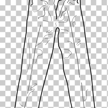 SVG Ladies trousers vector image