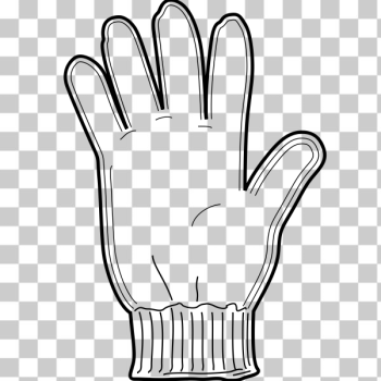 SVG Vector drawing of a glove