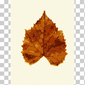 SVG Fall leaves from Missouri trees 3