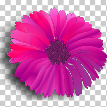 SVG flower pink