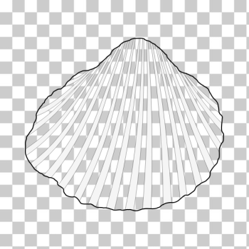 SVG Vector clip art of lagoon cockle
