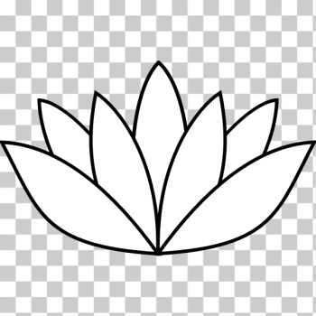 SVG white lotus flower