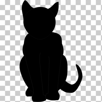 SVG Black cat vector image