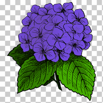 SVG Hydrangea - Purple
