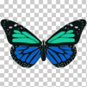 SVG Butterfly 02 Turquoise Blue