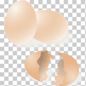 SVG Broken and whole egg shell vector drawing