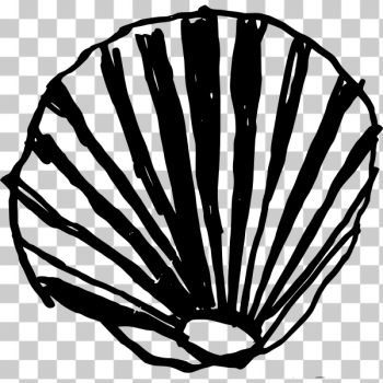 SVG Sea shell vector drawing