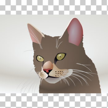 SVG Vector image of a cat