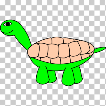 SVG Vector graphics of tortoise with beige shell