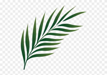 Go To Image - Palm Leaf Icon Png