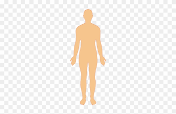 Clip Art Black And White Human Body Man - Human Body Png