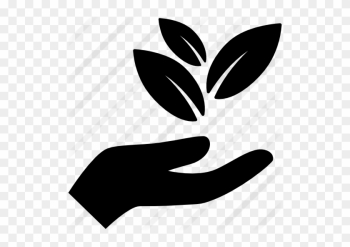 Hand Holding Leaves - Nature Icon Png