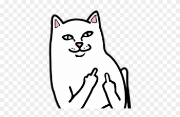 Cat Fuck You Fuckyou - Middle Finger Cat Png