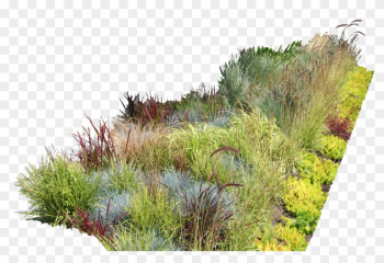 Garden Ideas Garden Design Landscaping Landscape Design - Photoshop Plants Png