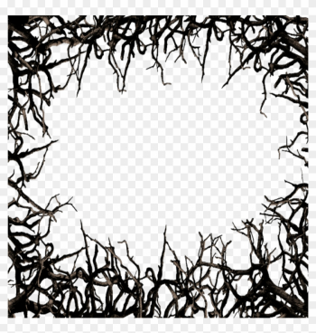 #mq #black #twigs #frame #frames #border #borders - Transparent Thorn Border