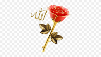 Allah With Golden Rose Psd - Rose With Allah