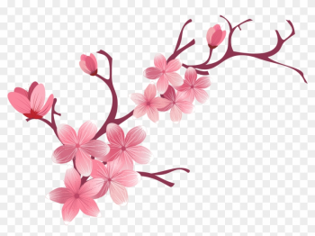 Cherry Blossom Flower - Sakura Flower Sakura Png