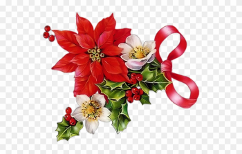 Christmas Poinsettia, Merry Christmas, Christmas Images, - Frases De Feliz Natal