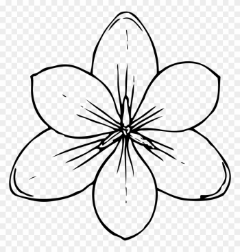 Free Printable Flower Stencil Templates - Coloring Pages Of Flowers