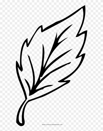 Leaf Coloring Page - Drawing