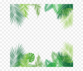Tropical Palm Leaves Png, Palm, Tropical Leaves, Leaves - Tropical Jungle Background