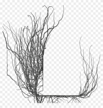 Branch Frame 02 By Brokenwing3dstock - Branch Frame Png