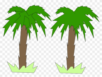 Palm Tree - Palm Tree 2 D