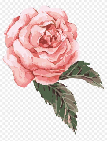 Flower Watercolor Painting Clip Art - Pink Watercolor Rose Png