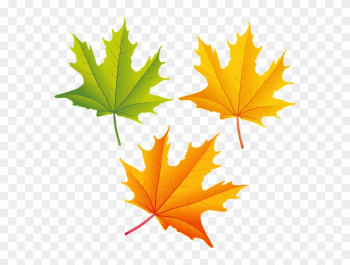 Set Of Autumn Leaves Png Clipart Image - Autumn Leaf Png Clipart