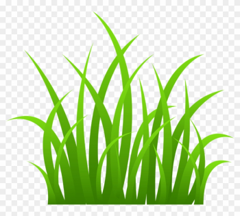 See Here Grass Clipart Black And White Outline Free - Transparent Background Clipart Grass