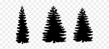 12 Free Vector Pine Trees Free Cliparts That You Can - Free Pine Tree Silhouette