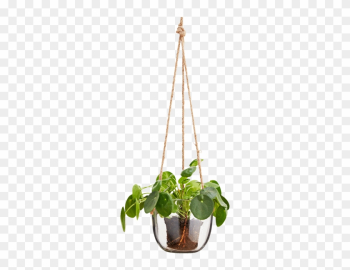 Hanging Glass Plant Pot Natural Cord - Hanging Glass Plant Png