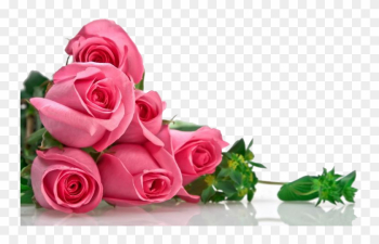 Pink Roses Flowers Bouquet Png Transparent Image - Good Morning With Rose
