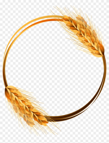 Common Wheat Ear Crop - Wheat Circle Vector Png