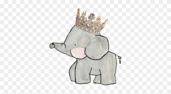 Elephant Crown Queen Princess Babyelephant Elephantfami - Baby Elephant With Crown
