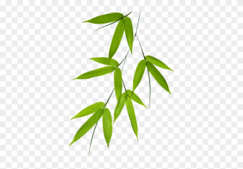 Wallpaper With Bamboo Leaf Motif - Bamboo Leaves Vector Png