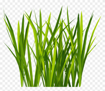 New Textures Billboard Grass - Grass For Unity