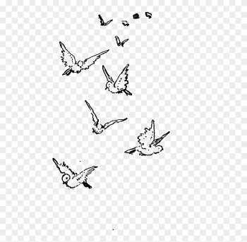Lovebird Clipart Wedding Band - Flock Birds Flying Drawing