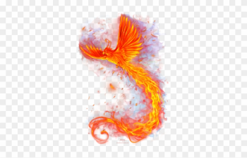 Phoenix Design Dribbble - Fire Animal Png