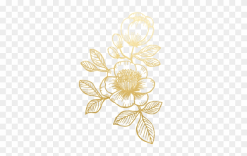 Free Scroll Border Clipart - Gold Flower Png