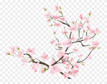 Flowers Cherryblossom Sakura Kawaii Tumblr Ftestickers - Cherry Blossom Png